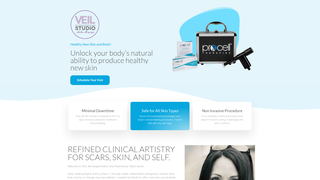 Thumbnail of veilstudioprocell.com