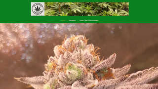 Thumbnail of plantisdeorum.com