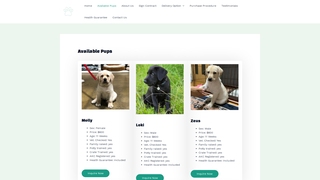 Thumbnail of walkerlabradorretrievers.com