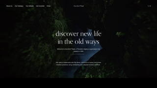 Thumbnail of axenthof.com