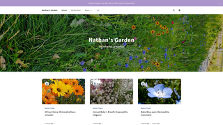 Thumbnail of nathansgarden.org