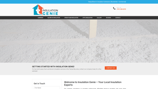 Thumbnail of tampablownininsulation.com