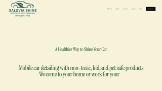 Thumbnail of saluviashine.com