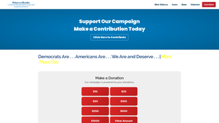 Thumbnail of muellermorethanthis.com
