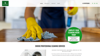 Thumbnail of bgcleans.net