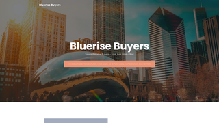Thumbnail of bluerisebuyers.com