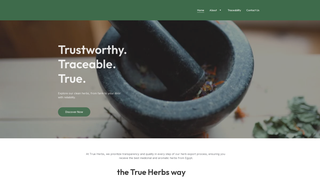 Thumbnail of trueherbsegypt.com