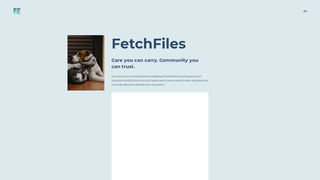 Thumbnail of fetch-files.com