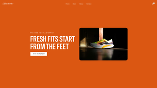 Thumbnail of soledistrictltd.com