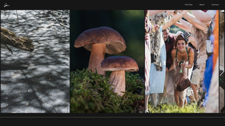 Thumbnail of geerrift.com