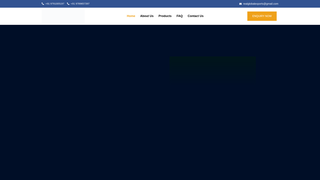 Thumbnail of realglobalexports.com
