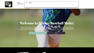 Thumbnail of beezusbaseballmafia.com
