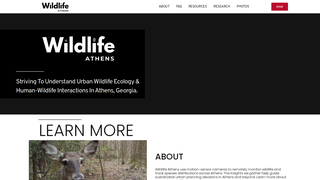 Thumbnail of wildlifeathens.org