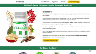 Thumbnail of en-en-usa-reduburn.com