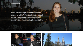 Thumbnail of lilyherrick.com