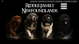 Thumbnail of riddlefamilynewfoundlands.com
