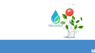 Thumbnail of cavitas-m.com