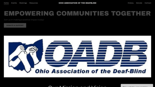 Thumbnail of theoadb.com