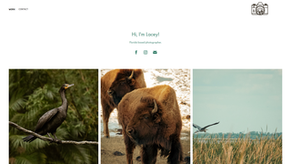 Thumbnail of laceylowephoto.com