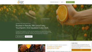 Thumbnail of orangegroveagency.com