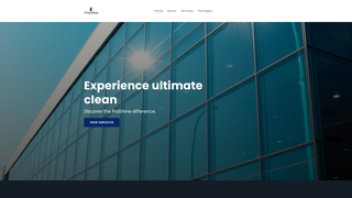 Thumbnail of pro-shine.net