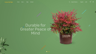 Thumbnail of burgundyridge.com