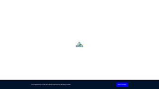 Thumbnail of roovieenterprise.com