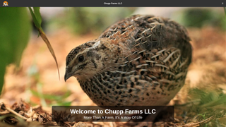 Thumbnail of chuppfarmsllc.com