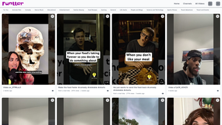Thumbnail of fluntter.com