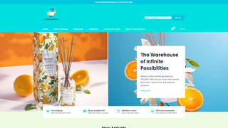 Thumbnail of omnidepots.com