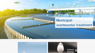 Thumbnail of cnrosuny.com