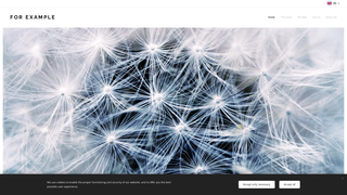 Thumbnail of examples-for.com