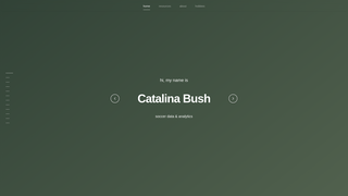 Thumbnail of catabush.com