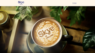 Thumbnail of theskyeatholland-official.com