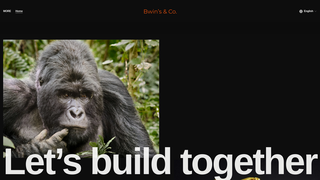 Thumbnail of bwinsnco.com