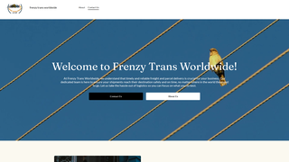 Thumbnail of frenzytransworldwide.com