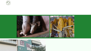 Thumbnail of micotec.org
