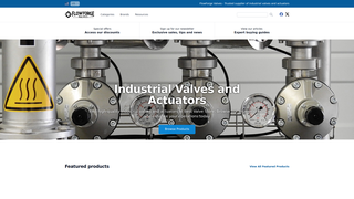 Thumbnail of bestvalvestore.com