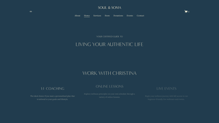 Thumbnail of soulandsoma.net