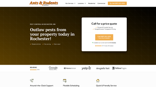 Thumbnail of antsrodentsrochester.com