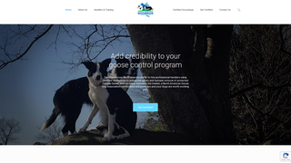 Thumbnail of nagoosedog.com