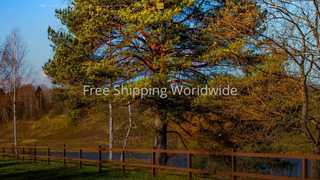 Thumbnail of almasstorestore.com