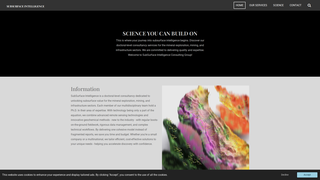 Thumbnail of subsurfaceintell.com