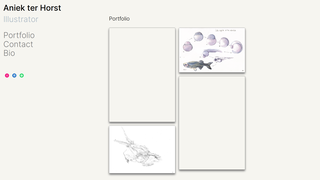 Thumbnail of aniekterhorst.com