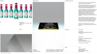 Thumbnail of fabiennehekkingportfolio.com