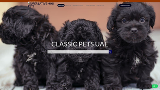 Thumbnail of superlativeminipets.com