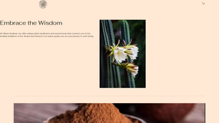 Thumbnail of vibrasandinas.com