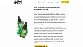 Thumbnail of flashbern.com