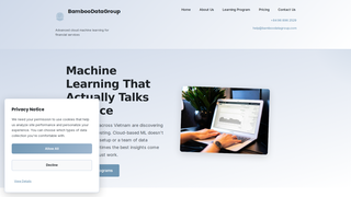 Thumbnail of bamboodatagroup.com