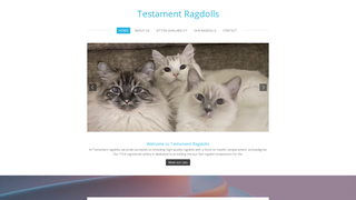 Thumbnail of testamentragdolls.org
